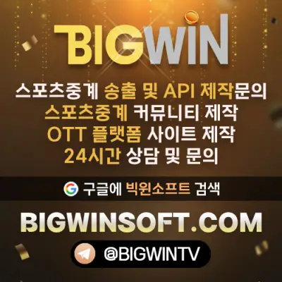 빅윈