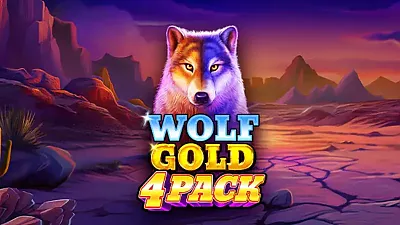 울프 골드 4팩