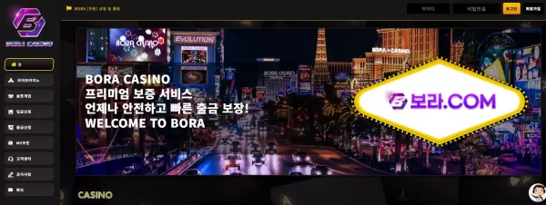 보라카지노(bora123.com) 먹튀 피해 사례 공개 - 300,000원 먹튀 주의!