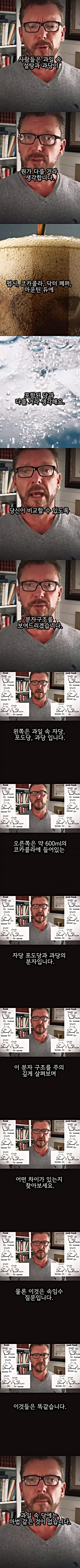 설탕과 과당의 차이점