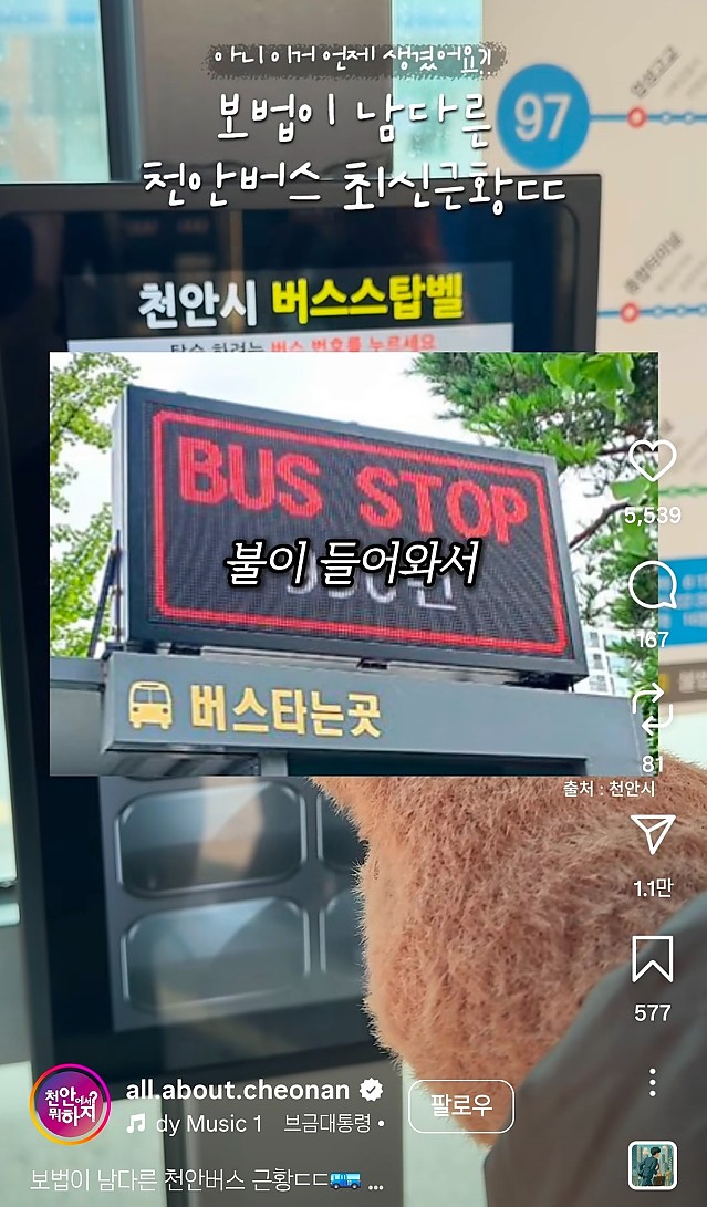 천안 버스 근황