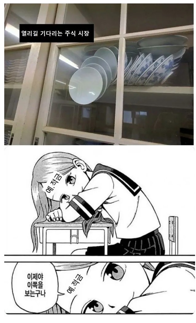 이제야 내 쪽을 보는구나?