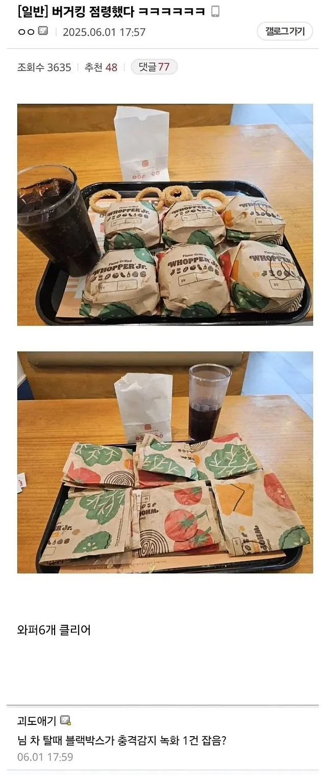 돼지인지 점잖게 물어보는 법