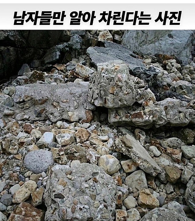 3초 안에 못 찾으면 죽는 사진