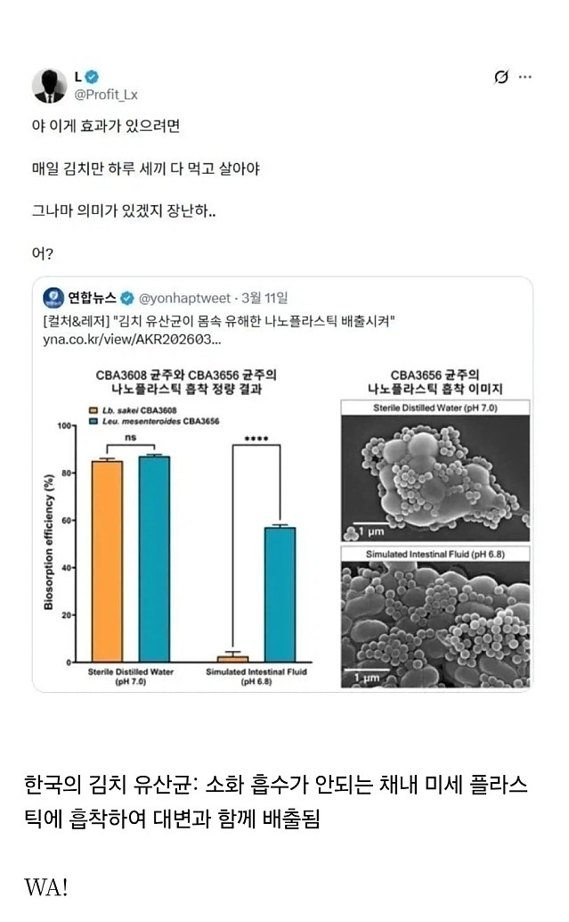 놀라운 김치 유산균의 놀라운 효능