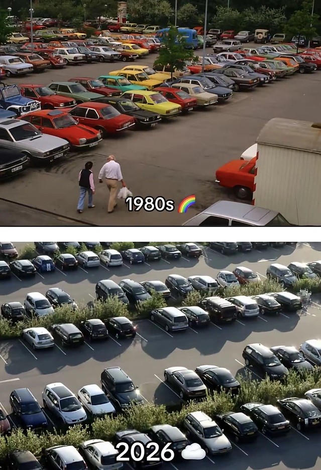 미국 차 문화 근황