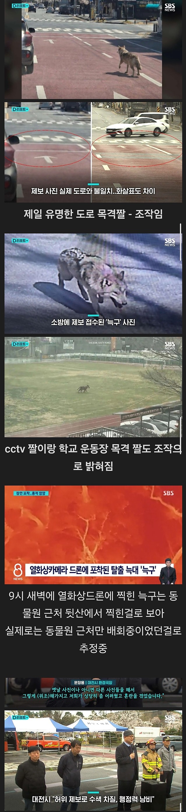 알고보니 모두 ai 조작이었던 늑대 목격 제보