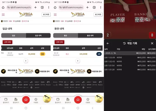 베가 먹튀확정