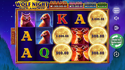 헤라 슬롯 후기