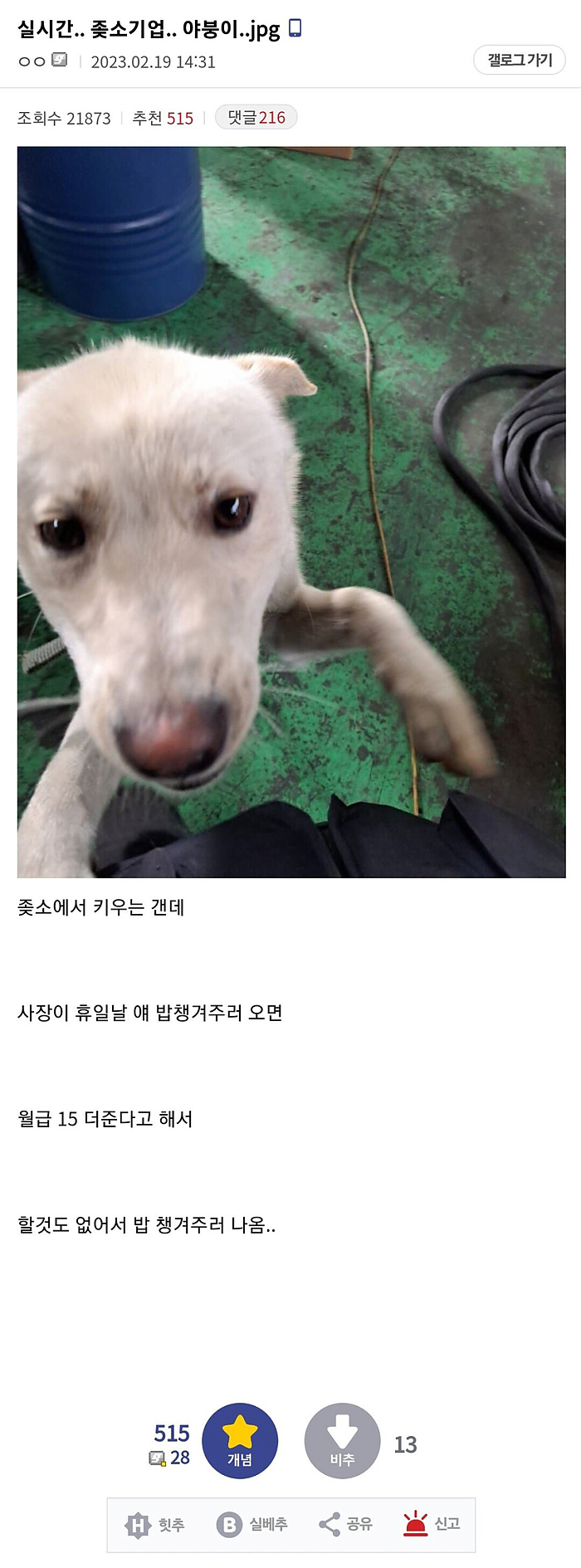 휴일에 출근하라는 조옷소기업