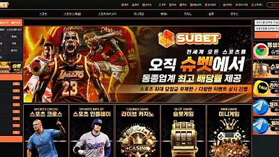 슈벳 먹튀 사례: sub-a2.com 도메인 197만원 피해 주의보