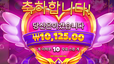 11/28파라존새벽후기1