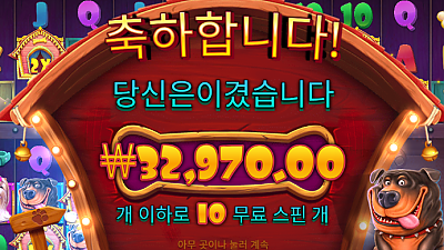 11/29파라존새벽후기1