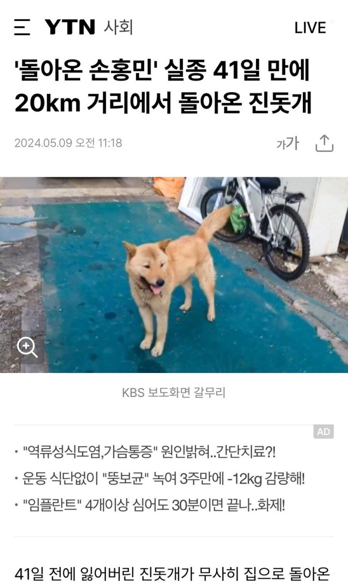 '돌아온 손홍민' 실종 41일 만에 20km 거리에서 돌아온...