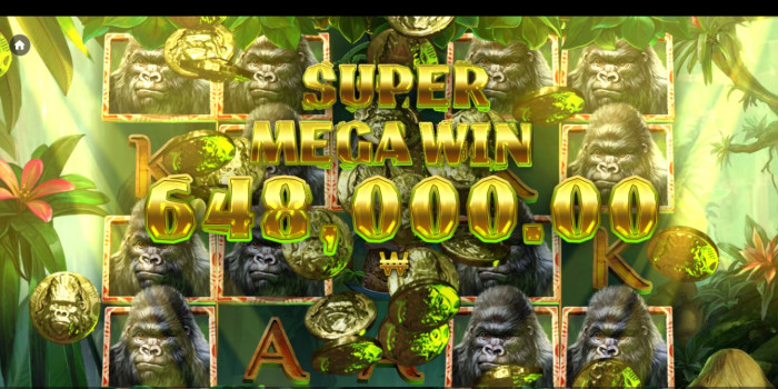 헤라 슬롯 후기