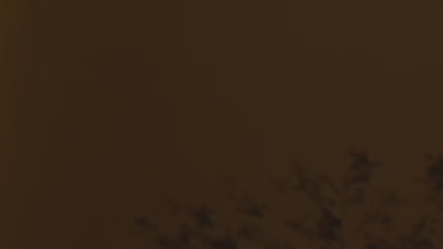 헤라바카라후기